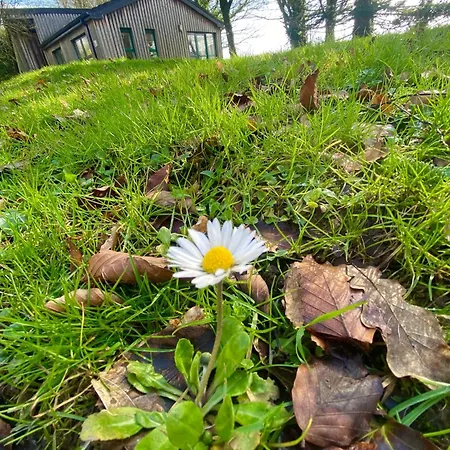 Ballyhoura Mountain Vakantiehuis