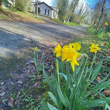 Дом отдыха Ballyhoura Mountain Lodges *