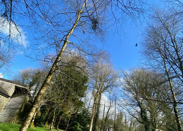 Ballyhoura Mountain 펜션 Ballyorgan