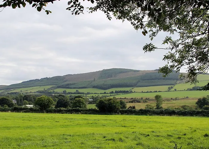 펜션 Ballyhoura Mountain *